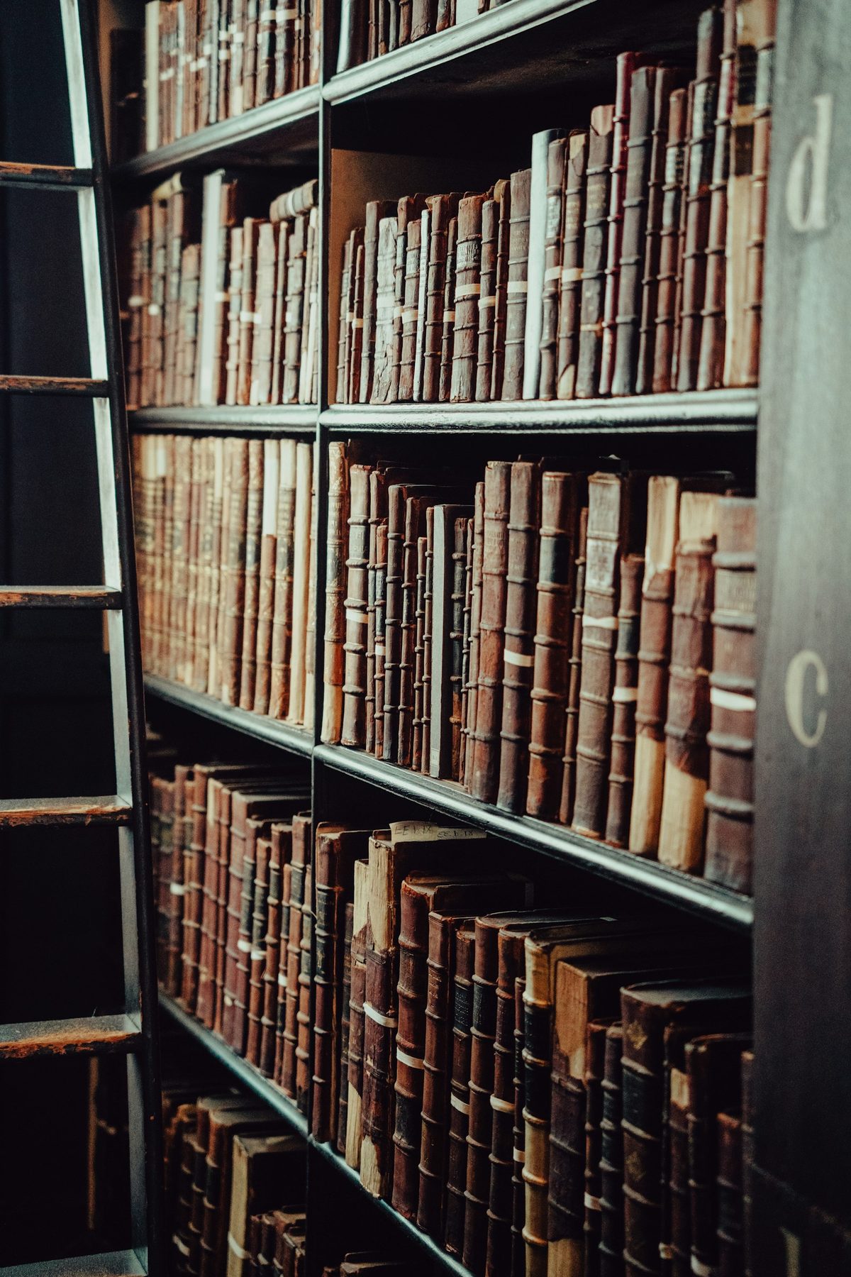 Espace de lecture avec étagères de livres, illustration de présentation